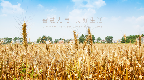 我國(guó)首部能源法正式問(wèn)世、國(guó)家能源局/工信部最新通知、?支持企業(yè)引進(jìn)光伏技術(shù)、虛擬電廠全電量參與現(xiàn)貨電能量交易出清…… - 拷貝